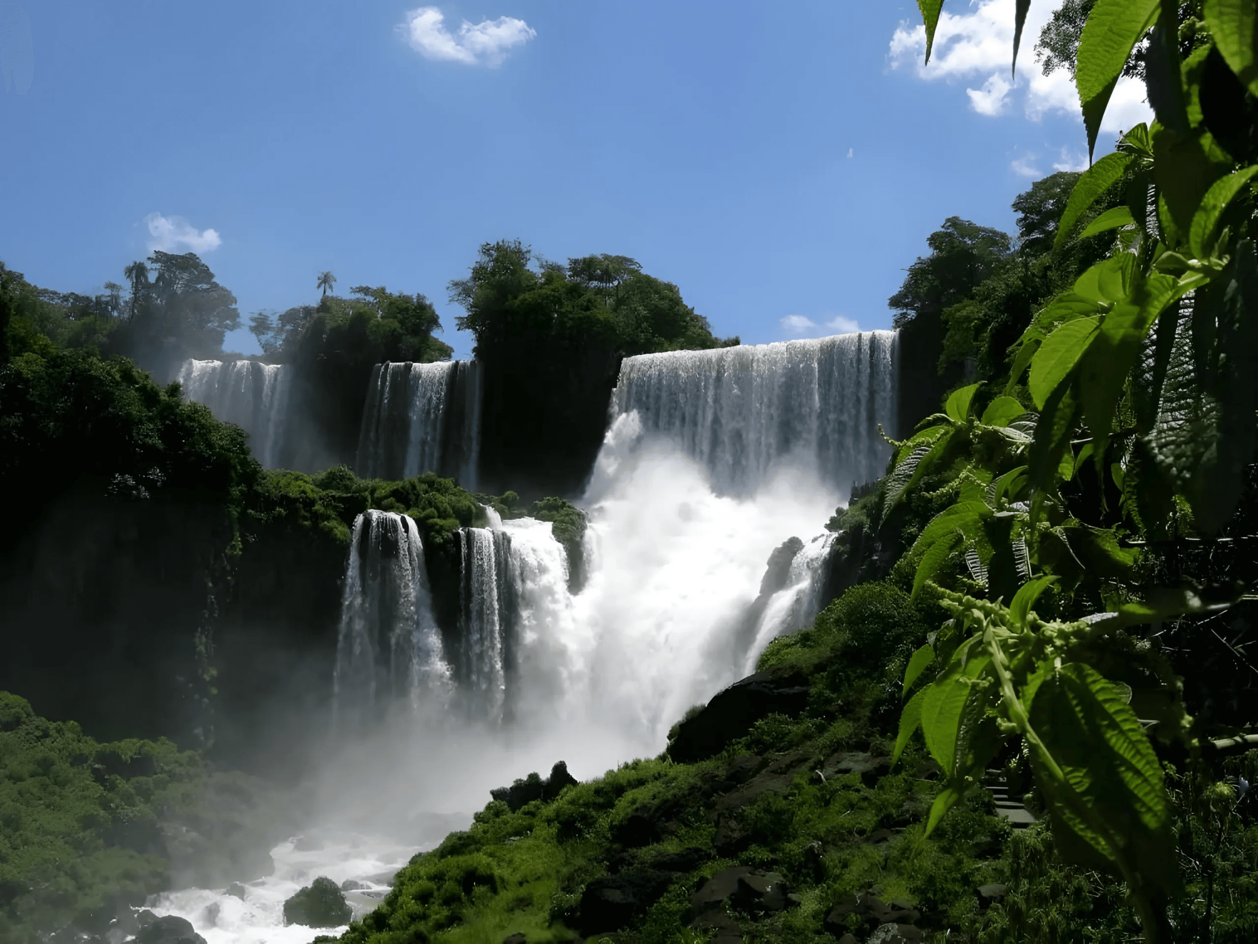 Waterfall cascading through lush green forest